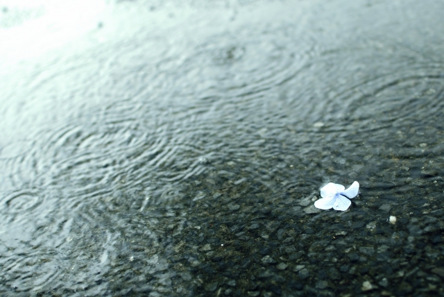 【やさしい日本語】お天気（てんき）雨（あめ）