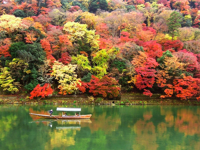 【やさしい日本語】紅葉狩（もみじが）り